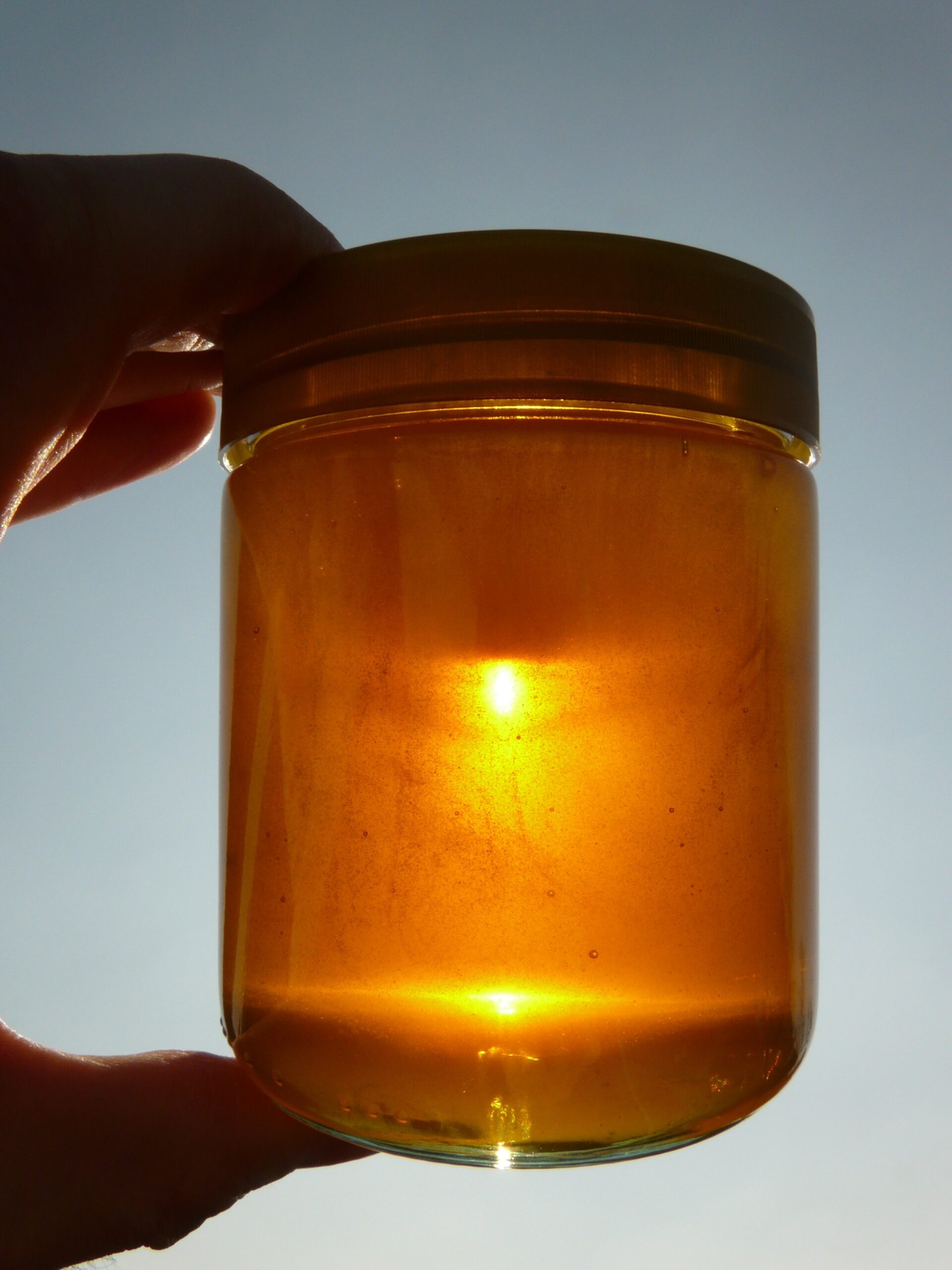 You are currently viewing Ghee – Burro e altro ancora